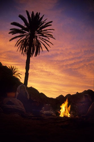 Sinai Campfire