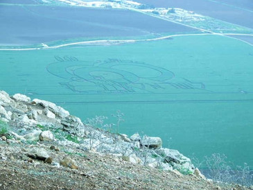 Crop Circles in the Harod Valley