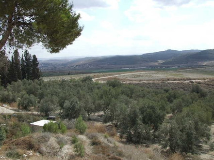 Sorek Valley
