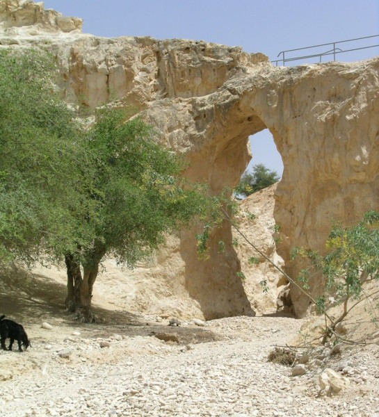 Wadi Kelt